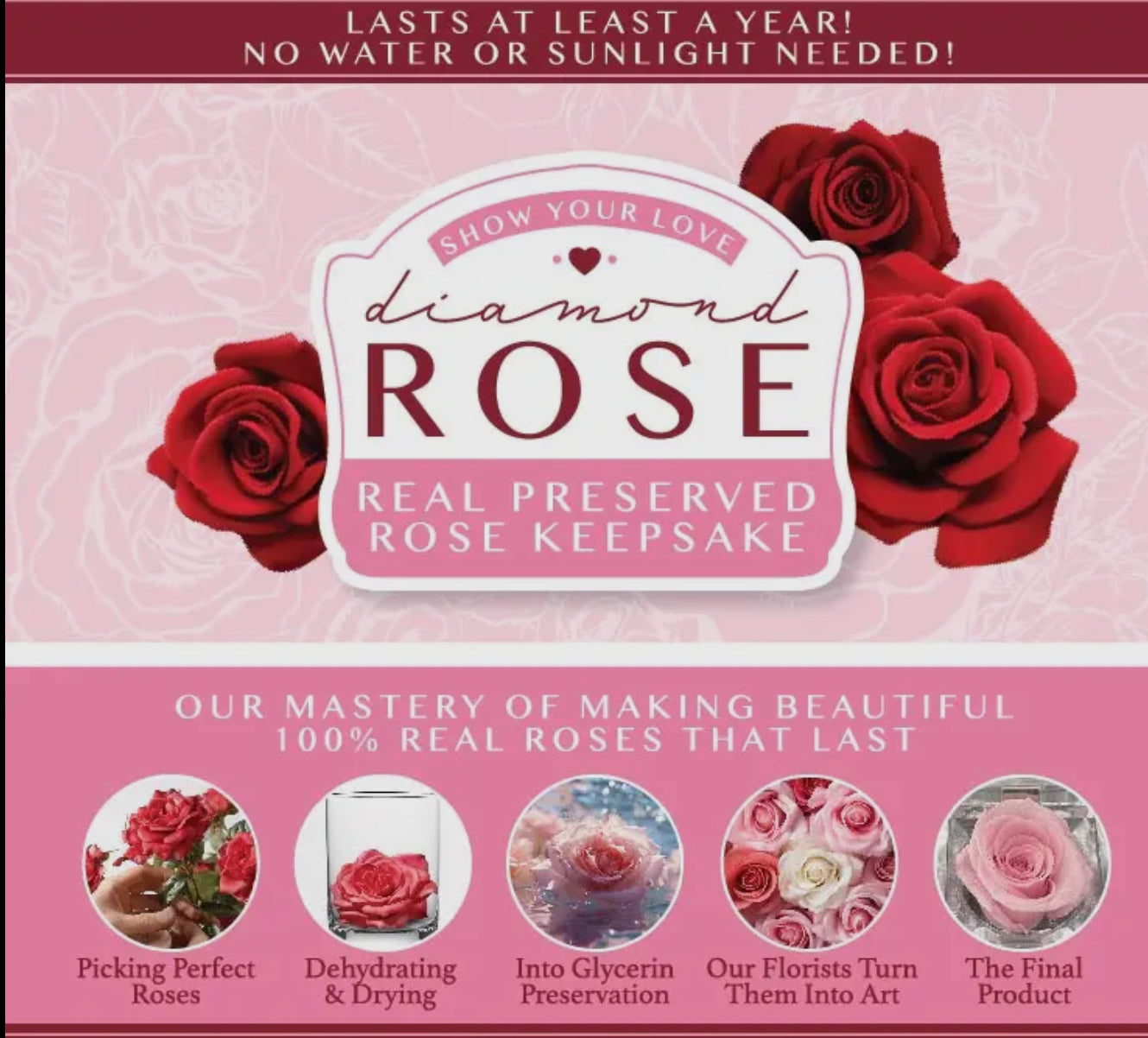 Preserved Rose Keepsake