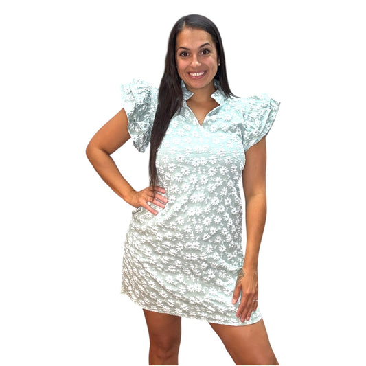 Kaylene Keepsake Embroidered Dress