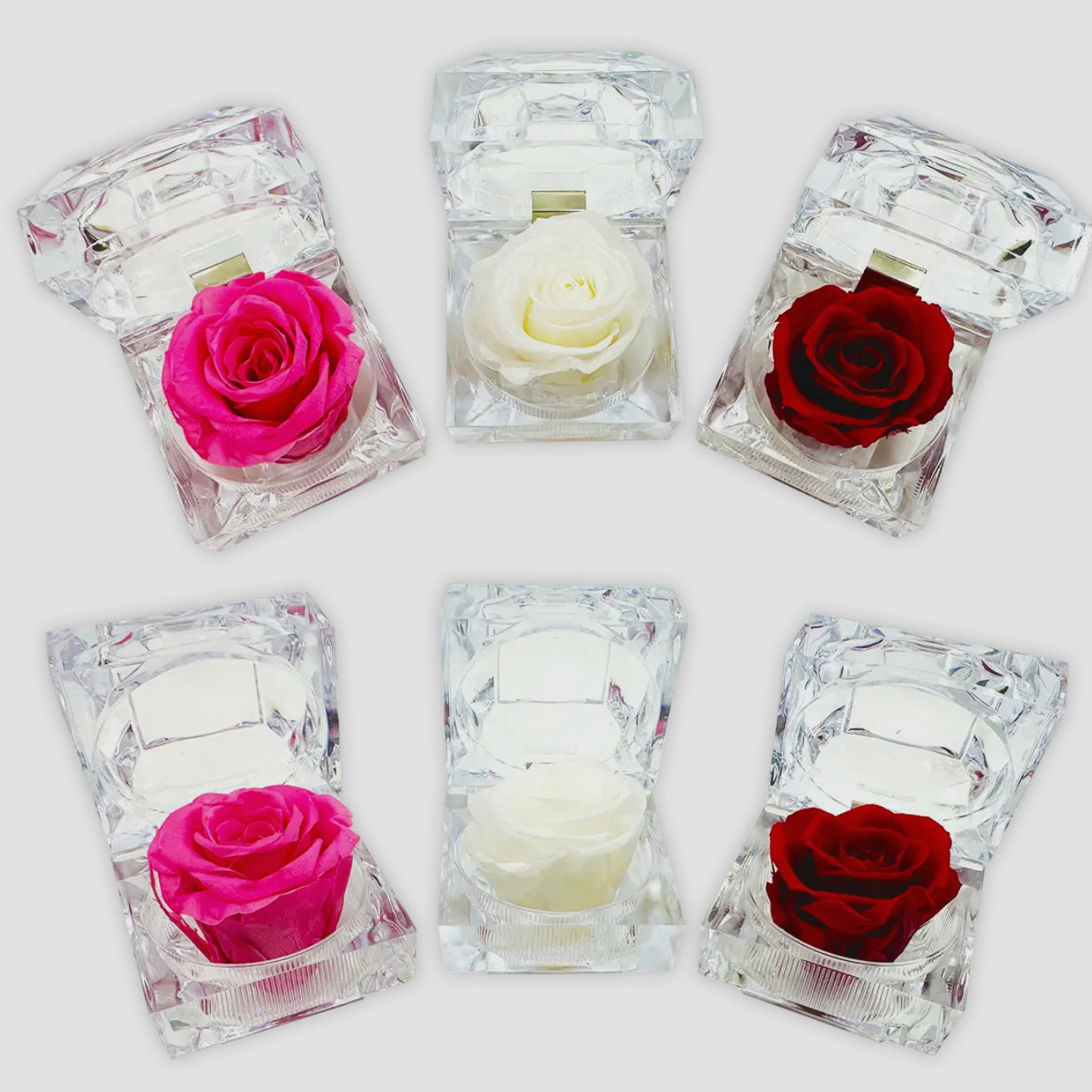 Preserved Rose Keepsake