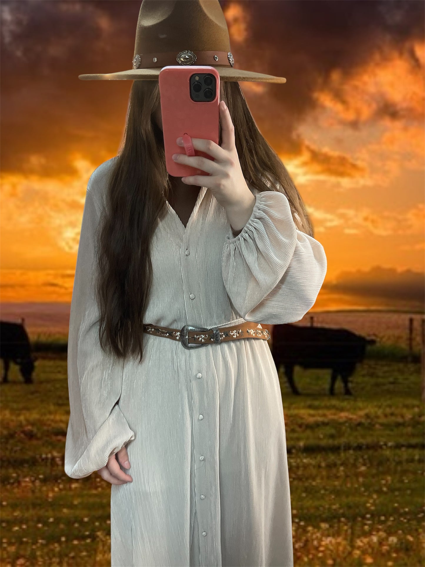 Western Belt