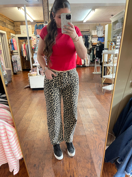 Vervet Leopard Print Barrel Jeans