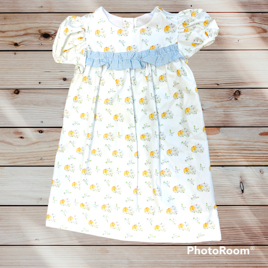 Caroline Light Blue Smocked Pumpkin